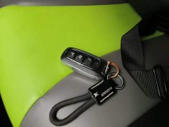 SAIC Corey Wei CLEVER 2021 302km All-Purpose Edition - ფოტო 9