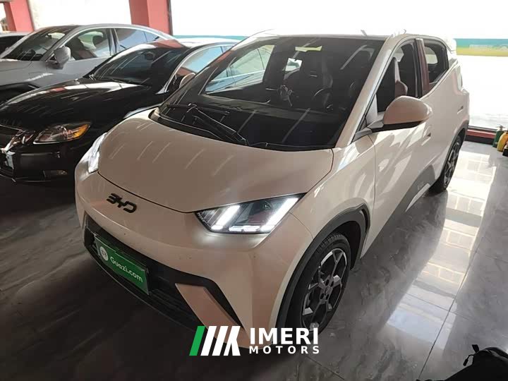 BYD Seagull 305km Freedom Edition