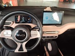 BYD Seagull 305km Freedom Edition - ფოტო 10