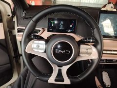 BYD Seagull 305km Freedom Edition - ფოტო 11