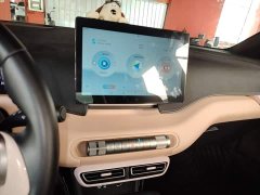 BYD Seagull 305km Freedom Edition - ფოტო 13