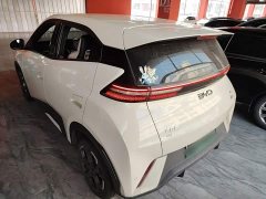BYD Seagull 305km Freedom Edition - ფოტო 5