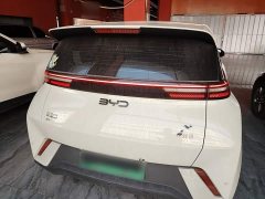 BYD Seagull 305km Freedom Edition - ფოტო 6