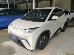 BYD Seagull Freedom Edition - ფოტო 2
