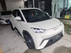 BYD Seagull Freedom Edition - ფოტო 4