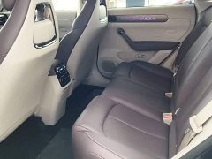 Leapmotor Leapo C11 Pure Electric 580 Premium Edition - ფოტო 17