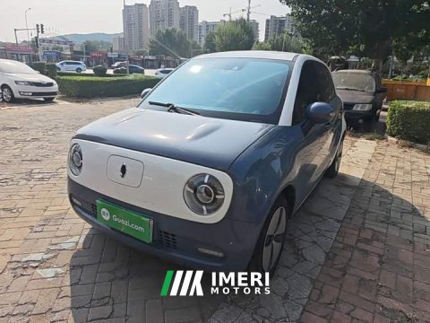 2021 ORA Black Cat 351km Luxury - ავტომობილი ჩინეთიდან