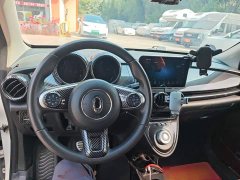 ORA Black Cat 351km Luxury - ფოტო 10