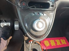 ORA Black Cat 351km Luxury - ფოტო 14