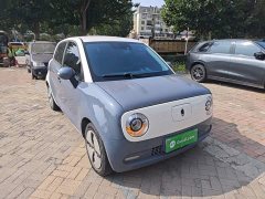 ORA Black Cat 351km Luxury - ფოტო 4