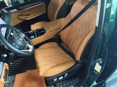 Tank 500 New Energy 2026 Hi4-Z Smart Comfort Edition - ფოტო 15