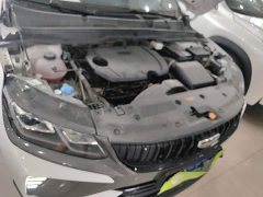 Geely Bingyue 1.5T DCT Longteng - ფოტო 16