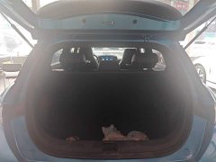 BYD Dolphin 405km Fashion Edition - ფოტო 19