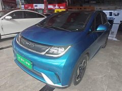 BYD Dolphin 405km Fashion Edition - ფოტო 2