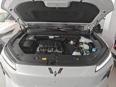 Wuling Starlight S 130km Flagship - ფოტო 20
