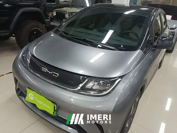 BYD Dolphin 405km Fashion Edition - ავტომობილი ჩინეთიდან