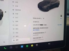 Tesla Model Y Rear-Wheel Drive - ფოტო 12
