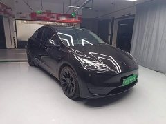 Tesla Model Y Rear-Wheel Drive - ფოტო 4