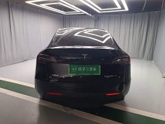 Tesla Model Y Rear-Wheel Drive - ფოტო 6