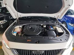 Geely Xingrui 2021 Facelift 2.0T Diesel Premium - ფოტო 20