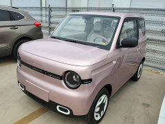 Geely Panda 2025 Panda Mini 210km Vitality Edition - ფოტო 1