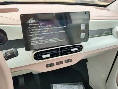Geely Panda 2025 Panda Mini 210km Vitality Edition - ფოტო 13
