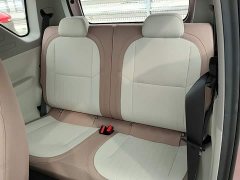 Geely Panda 2025 Panda Mini 210km Vitality Edition - ფოტო 17