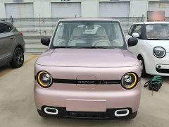 Geely Panda 2025 Panda Mini 210km Vitality Edition - ფოტო 3