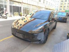 Tesla Model Y Standard Range RWD - ფოტო 1