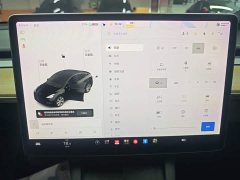 Tesla Model Y Standard Range RWD - ფოტო 13