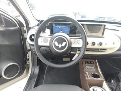 Wuling Binguo 203km Light Enjoy Edition - ფოტო 11