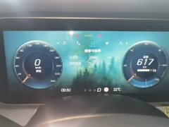 Arcfox Alpha S 2023 735E Forest Edition PRO 160kW - ფოტო 12