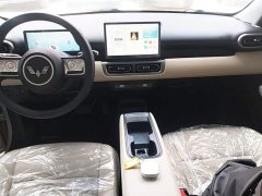 Wuling Binguo PLUS 2024 330km 5-Seater - ფოტო 13