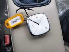 Wuling Binguo PLUS 2024 330km 5-Seater - ფოტო 9