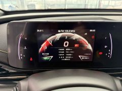 Trumpchi Leopard 270T DCT J15 - ფოტო 12