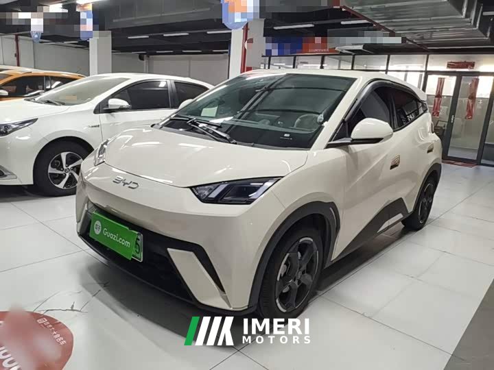 BYD Seagull 2023 Freedom Edition - ავტომობილი ჩინეთიდან