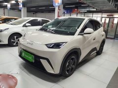 BYD Seagull 2023 Freedom Edition - ფოტო 1