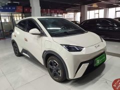 BYD Seagull 2023 Freedom Edition - ფოტო 4