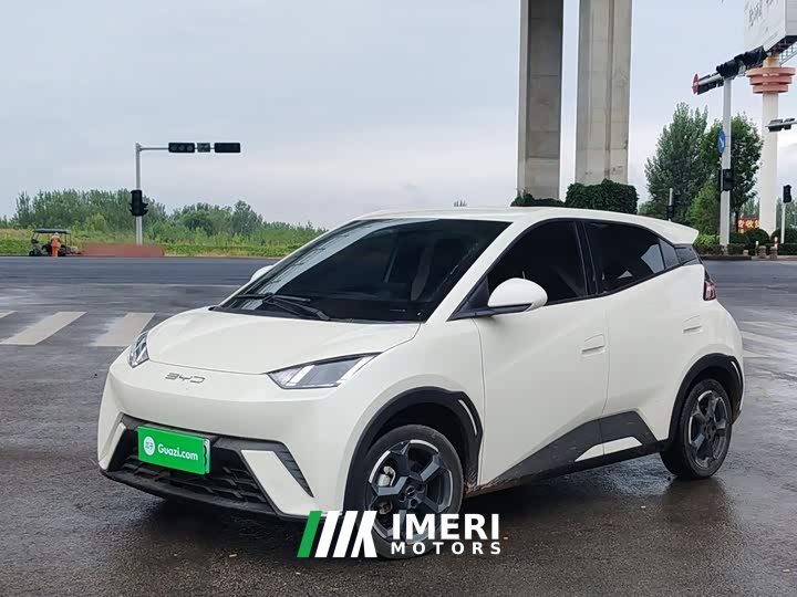 BYD Seagull Flying Edition - ავტომობილი ჩინეთიდან
