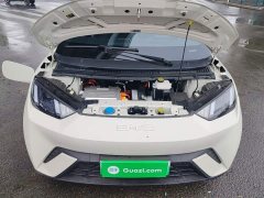 BYD Seagull Flying Edition - ფოტო 20