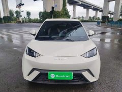 BYD Seagull Flying Edition - ფოტო 3