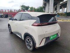 BYD Seagull Flying Edition - ფოტო 5
