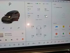 Li Auto L9 Max - ფოტო 12