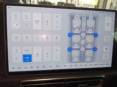Li Auto L9 Max - ფოტო 13