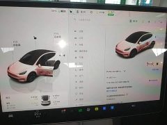 Tesla Model Y Rear-Wheel Drive - ფოტო 12