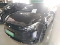 Tesla Model Y Rear-Wheel Drive - ფოტო 2