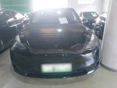 Tesla Model Y Rear-Wheel Drive - ფოტო 3