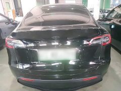 Tesla Model Y Rear-Wheel Drive - ფოტო 6