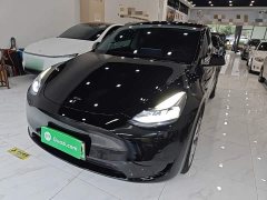 Tesla Model Y Facelift Rear-Wheel Drive - ფოტო 1