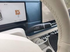 ORA Good Cat 430km Deluxe Edition - ფოტო 14